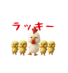 にわとり＆ひよこのおスタンプ（個別スタンプ：5）