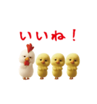 にわとり＆ひよこのおスタンプ（個別スタンプ：8）