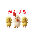 にわとり＆ひよこのおスタンプ（個別スタンプ：16）