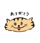 ひらたいねこ。（個別スタンプ：3）