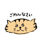 ひらたいねこ。（個別スタンプ：4）