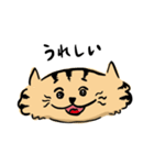 ひらたいねこ。（個別スタンプ：5）