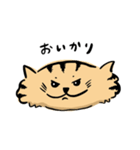 ひらたいねこ。（個別スタンプ：6）