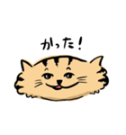 ひらたいねこ。（個別スタンプ：7）