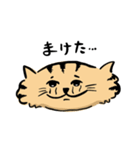 ひらたいねこ。（個別スタンプ：8）