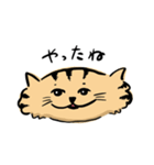ひらたいねこ。（個別スタンプ：9）