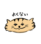 ひらたいねこ。（個別スタンプ：10）