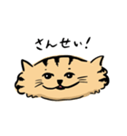 ひらたいねこ。（個別スタンプ：11）