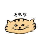 ひらたいねこ。（個別スタンプ：12）