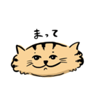 ひらたいねこ。（個別スタンプ：13）