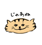 ひらたいねこ。（個別スタンプ：16）