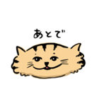ひらたいねこ。（個別スタンプ：17）
