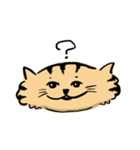ひらたいねこ。（個別スタンプ：18）