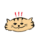 ひらたいねこ。（個別スタンプ：21）