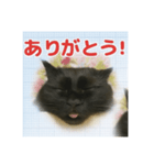 寝坊助にゃんちん（個別スタンプ：1）