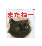 寝坊助にゃんちん（個別スタンプ：4）