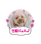 黒さきプリン（個別スタンプ：8）