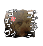 黒さきプリン（個別スタンプ：14）