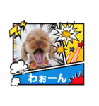 黒さきプリン（個別スタンプ：16）