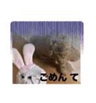 黒さきプリン（個別スタンプ：17）