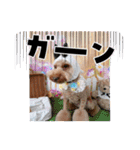 黒さきプリン（個別スタンプ：18）