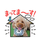 黒さきプリン（個別スタンプ：40）