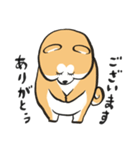 ぶちゃかわ秋田犬（個別スタンプ：1）
