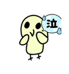 インコちゃんの色んな種類のスタンプ24個（個別スタンプ：7）
