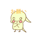 インコちゃんの色んな種類のスタンプ24個（個別スタンプ：14）