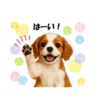 かわいいキャバリアの犬スタンプ（個別スタンプ：5）