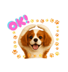 かわいいキャバリアの犬スタンプ（個別スタンプ：6）