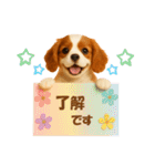 かわいいキャバリアの犬スタンプ（個別スタンプ：8）