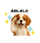 かわいいキャバリアの犬スタンプ（個別スタンプ：9）