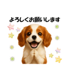 かわいいキャバリアの犬スタンプ（個別スタンプ：11）