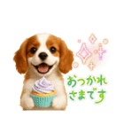 かわいいキャバリアの犬スタンプ（個別スタンプ：12）