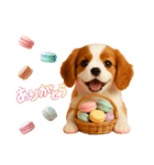 かわいいキャバリアの犬スタンプ（個別スタンプ：17）