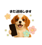 かわいいキャバリアの犬スタンプ（個別スタンプ：25）