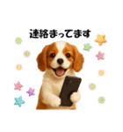 かわいいキャバリアの犬スタンプ（個別スタンプ：26）