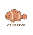 沖縄の動物たち(海の生き物)（個別スタンプ：1）