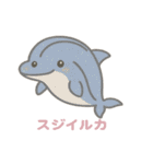 沖縄の動物たち(海の生き物)（個別スタンプ：4）