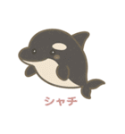 沖縄の動物たち(海の生き物)（個別スタンプ：6）
