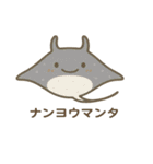 沖縄の動物たち(海の生き物)（個別スタンプ：7）