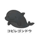 沖縄の動物たち(海の生き物)（個別スタンプ：8）