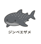 沖縄の動物たち(海の生き物)（個別スタンプ：11）