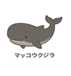 沖縄の動物たち(海の生き物)（個別スタンプ：13）