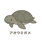 沖縄の動物たち(海の生き物)（個別スタンプ：14）