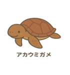 沖縄の動物たち(海の生き物)（個別スタンプ：15）