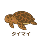 沖縄の動物たち(海の生き物)（個別スタンプ：16）