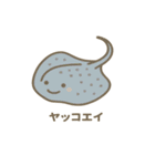 沖縄の動物たち(海の生き物)（個別スタンプ：20）