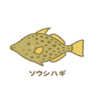 沖縄の動物たち(海の生き物)（個別スタンプ：21）